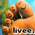 A foot with multiple smiling faces on toes and sole, set against a blurred green-and-blue background.