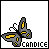 Pixel art butterfly icon with gray and yellow wings, black body, white antennae; text 'CANDICE' below in black and yellow.