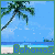 Animated contact sheet of a beach scene with palm trees and