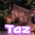 A pixelated image of a brown dog with green foliage background, overlaid with the text "Taz" in varying colored outlines across four
