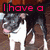 A Boston Terrier dog appears in a of six with overlaid text, each showing the same dog from different angles against a wooden background