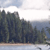 Pixelated landscape showing dense dark green trees along a shoreline with calm water, under a light blue sky with faint clouds.