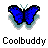 A 4-frame animated contact sheet showing a blue butterfly icon with black outlines and light gray shadows, each frame paired with the text 'Coolbuddy' below it.