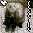 iconhell_rodolfo