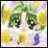 A 48x48 pixel buddy icon featuring a stylized anime character with green hair and large eyes, paired with text reading "Anime IM" on the right side against a black background.