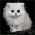 Pixelated white cat with blue eyes and a brown nose against a black background, rendered in low-resolution digital style.