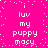 Pixelated text on a bright pink background with scattered white dots, showing repeated phrases and partial letter changes across frames.