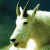 A pixelated animal head with curved horns on a dark background, next to green text reading 'Original Icons .com' in stylized font.