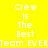Yellow and black pixelated text displays 'Crew Is The Best' and 'Team EVER' in a pattern with alternating black and yellow background sections