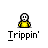 badassbuddy_com-trippin