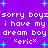 Purple background with cyan starbursts and repeated white pixelated text reading 'sorry boyz sorry boyz i have my dream boy dream boy *eric* *eric*' in two identical horizontal sections.