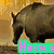 A four- displays pixelated horse imagery with overlaid text: a brown horse in profile, a white-faced horse, silhouettes against lightning, and empty space