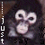 A monkey with large white eyes and a pinkish face appears in four with text overlays, showing slight variations in expression and text placement