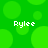 Green background with large and small circles, four instances of white text 'Rylee' in pixelated font.