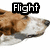 A pixelated dog's head in profile view with text overlays reading "Flight," "D.O.G.," and "Landing."