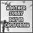 A 5x5 contact sheet of animated frames showing a pixel art icon with the text "ANOTHER SUNNY DAY IN CALIFORNIA" where each frame displays different color variations of the text against a gray background with faint tree silhouettes.