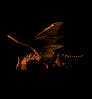 Animated sequence of a brown dragon with orange wings flying against a black background, showing multiple poses and wing positions.