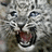 Pixelated close-up of a snow leopard's face with mouth open, accompanied by pink pixelated text on black background.