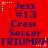 Red background with repeated blue text and white star outlines, displaying 'Jess #13 Crew Soccer' above 'TRIUMPH' in pixelated font.