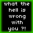 Four identical pixelated text arranged in a , each displaying 'what the hell is wrong with you ?!' on black background with green border