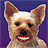Pixelated close-up of a dog's face with light brown fur, white forehead patch, dark eyes, black nose, and red mouth showing teeth against purple background.