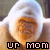 A pixelated animated contact sheet showing two frames of a character with white hair and orange face, each frame displaying the text "UP MOM" in different colors below the character.