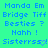 Pixelated blue text on bright green background with heart symbol replacing final 's' in 'Sisterrss'.