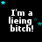 Black background with white pixelated text reading "I'm a lieing bitch!" repeated in three , surrounded by small blue and dark blue stars