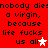 Red background with black pixelated text repeating 'nobody dies a virgin, because life fucks us all' and two white star icons.