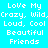 Pixelated text 'Love My Crazy, Wild, Loud, Cool Beautiful Friends' displayed in four color blocks with no visible animation.