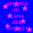 Blue background with pink stars and repeated text reading "AMANDA -N- LANA ARE COOLEST" in pixelated font.