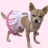 A contact sheet of 10 animated frames showing a small brown dog wearing a pink and white frilly dress against a light pink background, with the final frame missing.
