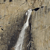 A pixelated image shows a white and dark gray animal with a long neck and small head against a brownish background.