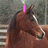 Brown horse head in profile with closed eyes, pink text "I Love horses" and five pink hearts on a gray background.
