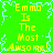 Green background with yellow text reading "Emma Is The Most Awso me!" repeated four times in a , surrounded by light blue pixelated border
