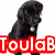six dog images with overlaid text and symbols, including a black poodle, dachshund, terrier, chihuahua, labrador puppy, and rainbow heart paw print