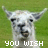 A pixelated llama with a neutral expression appears in a with text overlays on a green background