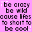 Pixelated text on a pink background with small white stars, repeating phrases 'be crazy be wild cause lifes to short to be cool' in three