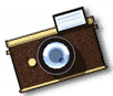 Animated buddy icon showing a brown vintage-style camera with gold accents in two frames: one static and one capturing a flash effect.