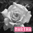 grayscale rose icons with pink text labels, each featuring a small heart symbol above or beside the label
