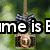 A pixelated camera-shaped icon with a purple bow hangs from a string against green foliage, displaying text that changes between frames.