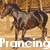 Two side-by-side horse images with text labels; left shows a brown horse in motion, right shows a light-colored pony head.