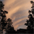 Pixelated landscape with dark tree silhouettes framing a soft gradient sky transitioning from warm orange to pale gray.