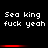 Black background with white pixelated text 'Sea king fuck yeah' repeated in two , each containing three identical text blocks, separated by red horizontal bars