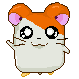 Pixelated hamster character with orange hair, pink ears, and white body in two poses: one smiling with closed mouth, other with open mouth showing purple tongue.