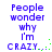 Blue pixelated text reads 'People wonder why I'm CRAZY...' with green dots on a white background, displayed in two identical side-by-side