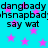 Cyan background with pink stars and repeated black text reading "dangbady dangbady shsnapbad! shsnapbad say wat say wat" in two horizontal
