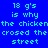 Four quadrants display identical pixelated text on solid backgrounds: blue, purple, red, and dark purple.