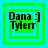 Four identical pixelated icons with green and blue borders display 'Dana :] Tylerr' text in black font on a green background.