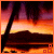 Animated sunset scene with palm tree silhouette over water, transitioning through color variations in sky and foreground elements.
